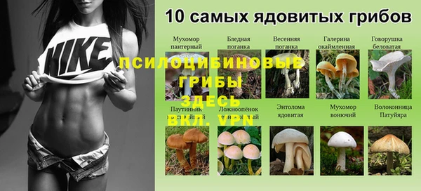 прущая мука Абинск